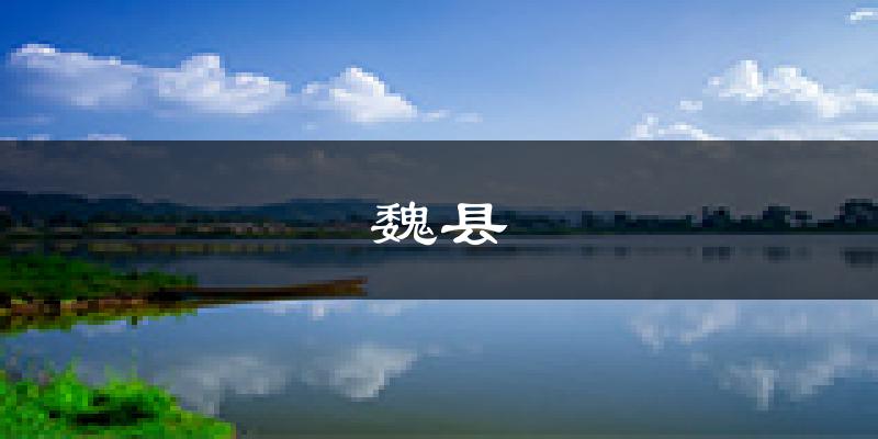 魏县天气预报未来一周