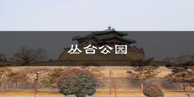 丛台公园气温
