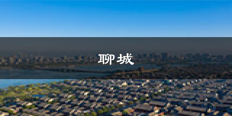 聊城天气预报未来一周