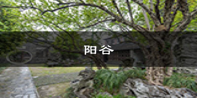 阳谷天气预报未来一周