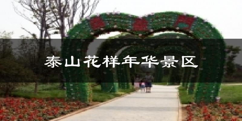 泰山花样年华景区今日天气