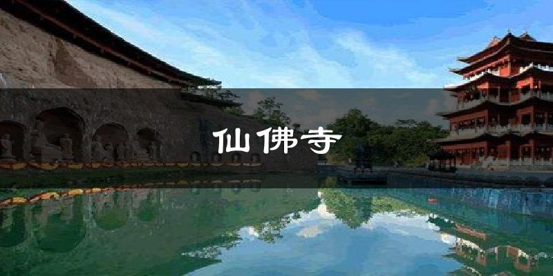 仙佛寺气温