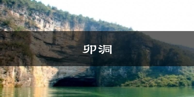 卯洞气温