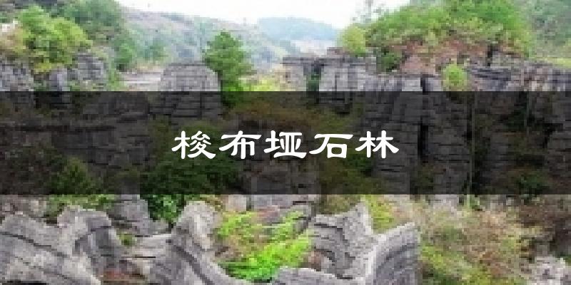 梭布垭石林气温