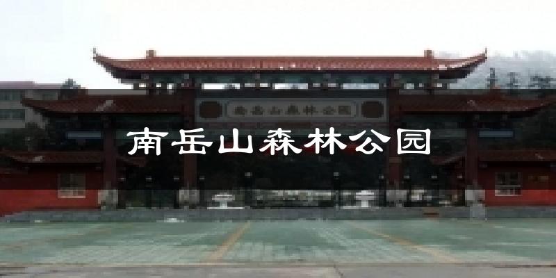 南岳山森林公园今日天气