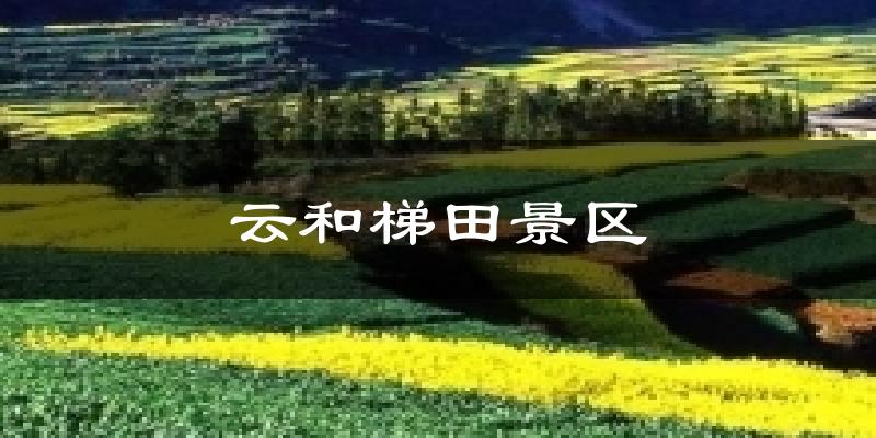 云和梯田景区气温