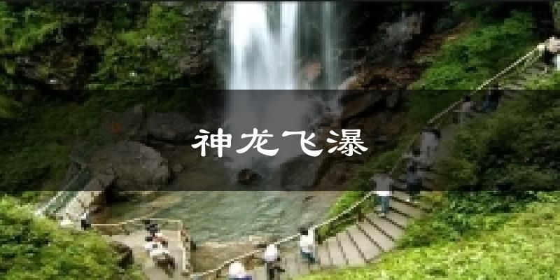 神龙飞瀑气温