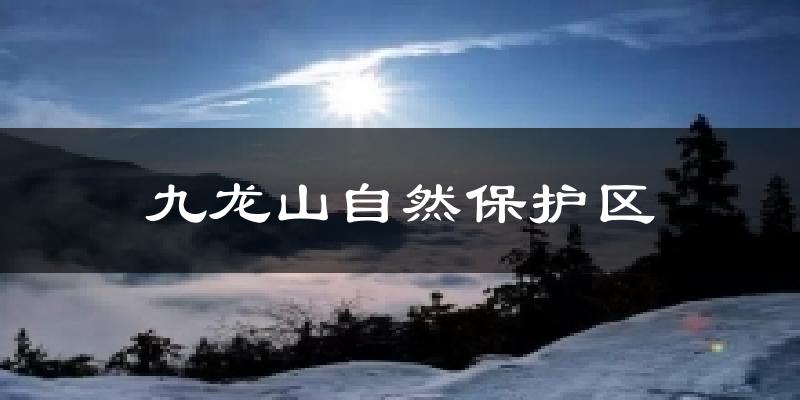 九龙山自然保护区气温