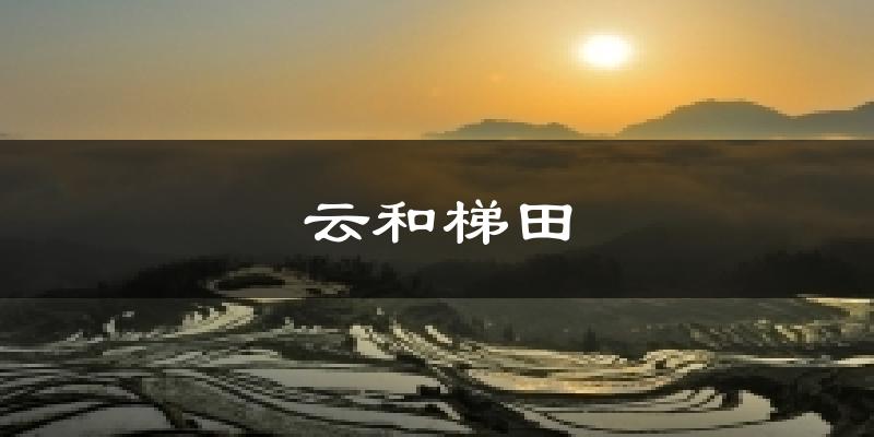 云和梯田今日天气