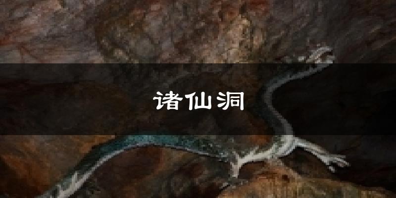 诸仙洞气温