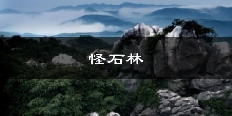 怪石林气温