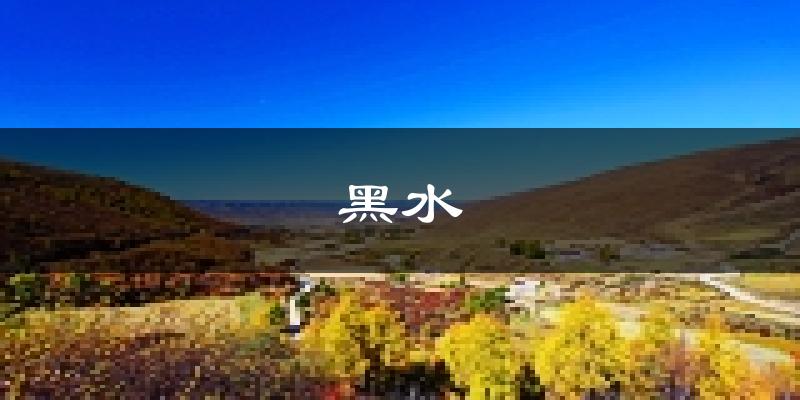 黑水天气预报未来一周