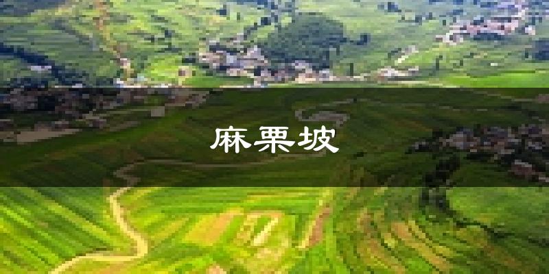 麻栗坡天气预报未来一周