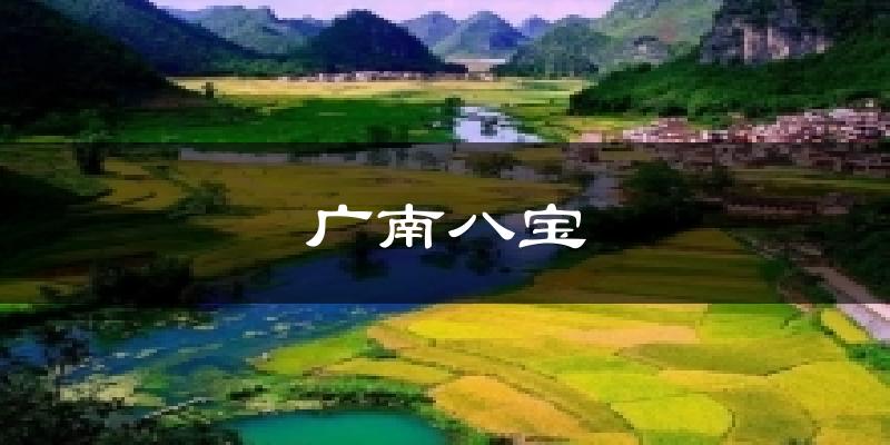 广南八宝今日天气