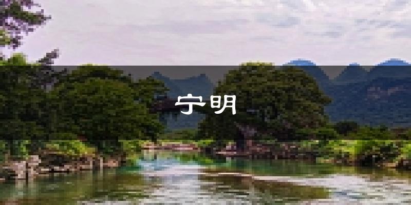 宁明天气预报未来一周