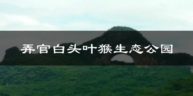 弄官白头叶猴生态公园气温
