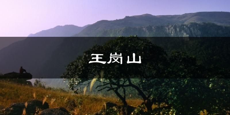 王岗山气温